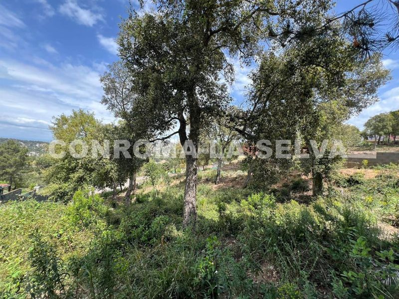 Foto 9a6473df-3eee-42c2-a7ee-6c9d168f772b. Finca rústica a Lloret Residencial - Montlloret Lloret de Mar