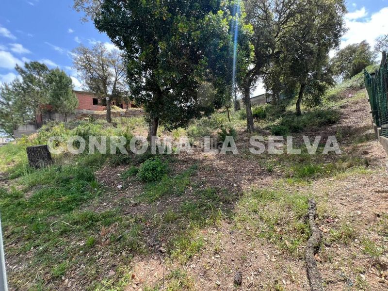 Foto a41eec79-66f8-4632-b6b1-801dad2073c5. Finca rústica a Lloret Residencial - Montlloret Lloret de Mar