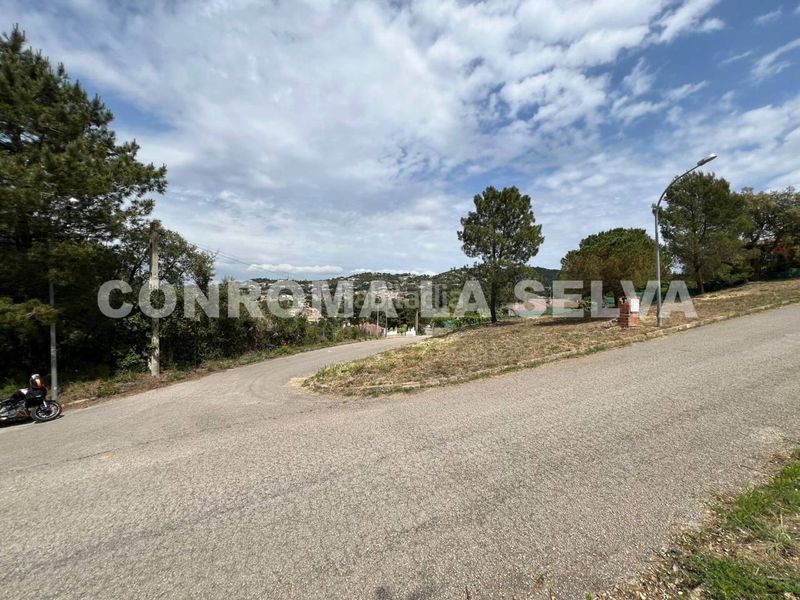 Foto a5e0e6f6-e3df-48cf-b1b5-bbce20ca33c1. Finca rústica a Lloret Residencial - Montlloret Lloret de Mar