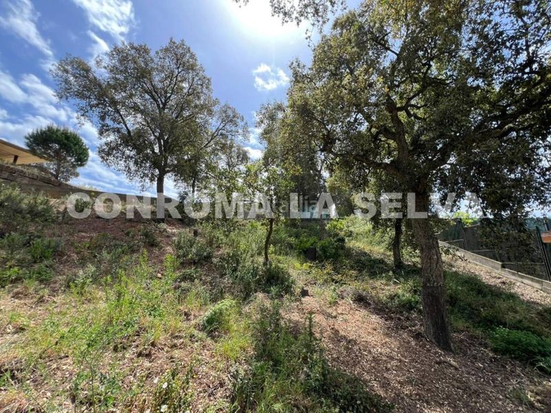 Foto b07c4e23-c7ed-4c8f-89df-e595dba882d0. Finca rústica a Lloret Residencial - Montlloret Lloret de Mar