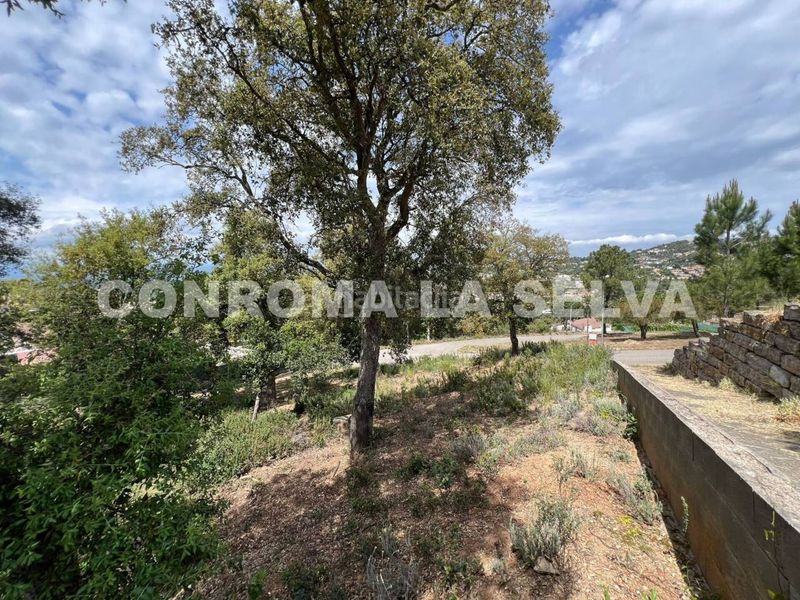Foto c10ad1fe-d76c-43ce-a16c-bb8e06ea9bca. Finca rústica a Lloret Residencial - Montlloret Lloret de Mar