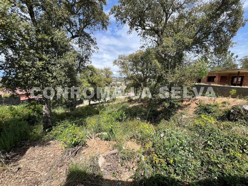 Foto ddeb88de-53af-4dba-8f21-c6d721aefaf0. Finca rústica a Lloret Residencial - Montlloret Lloret de Mar