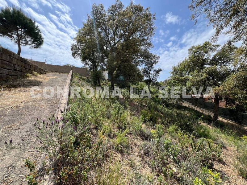 Foto ecbd5b3b-1ad4-46a8-8182-9528695ba815. Finca rústica a Lloret Residencial - Montlloret Lloret de Mar