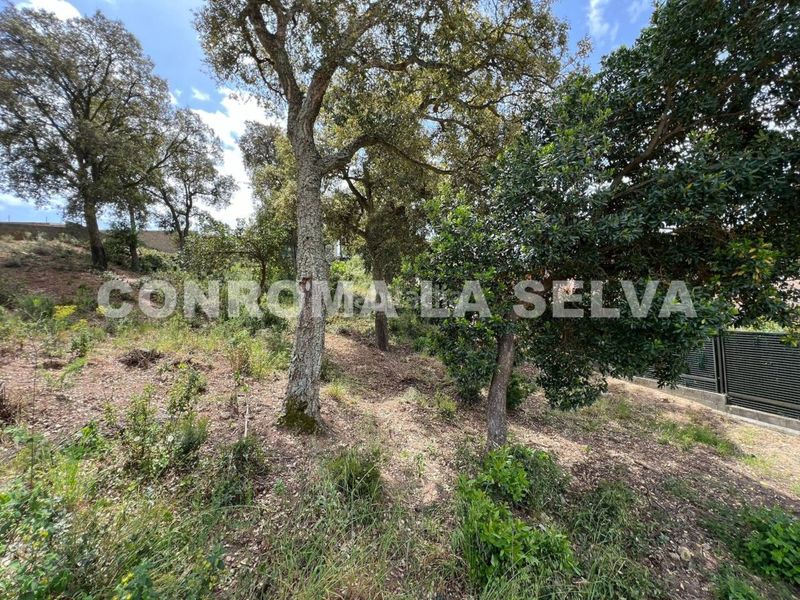 Foto ee94cdda-b5aa-420e-bdbe-b2152c5f7768. Finca rústica a Lloret Residencial - Montlloret Lloret de Mar