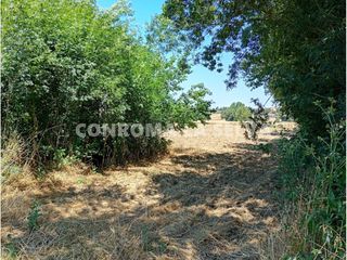 Propriété à Niàgara Parc -Àgora Parc. Venta de terreno rústico en tordera