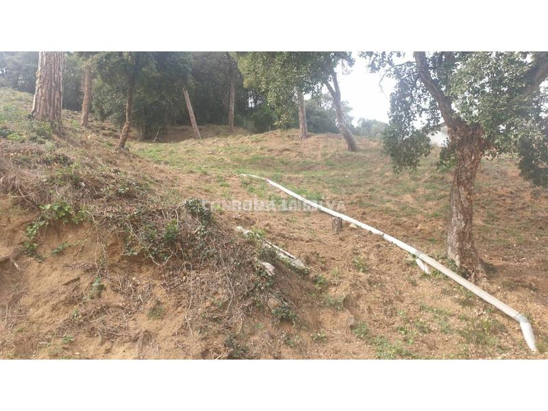 Foto 226176ee-a05a-48ee-abed-b7806f6577f9. Finca rústica a Sant Cebrià de Vallalta