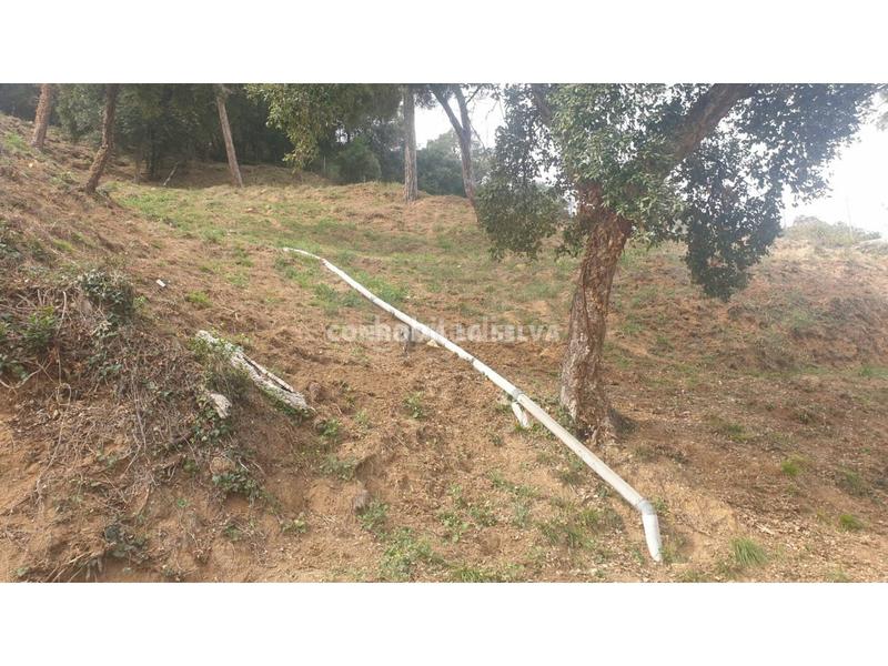 Foto 6406331f-5251-490c-904a-0ab8b82c1718. Finca rústica a Sant Cebrià de Vallalta