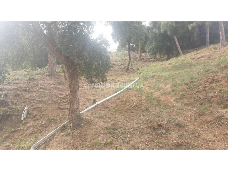 Foto 75e25d4e-a54e-40cd-873f-186d358aebaa. Finca rústica a Sant Cebrià de Vallalta