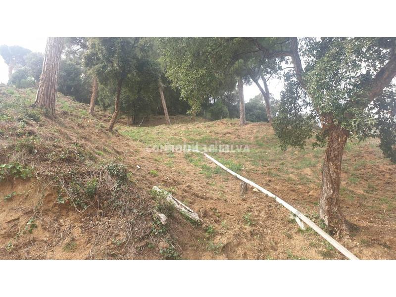 Foto a3ed6699-2525-40ce-a2ee-a8f6cc16dc08. Finca rústica a Sant Cebrià de Vallalta