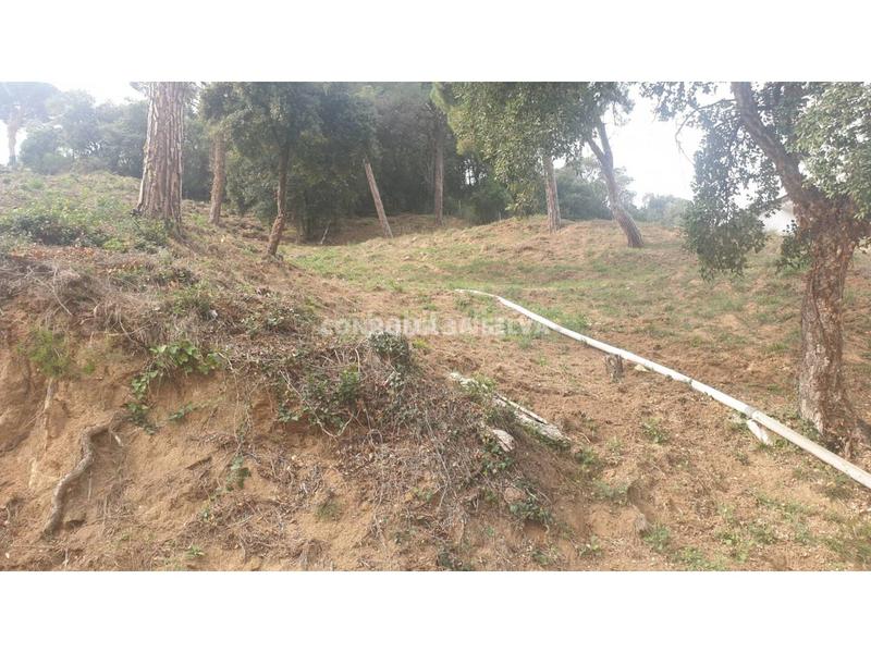 Foto f774c586-7acc-4714-8ce9-83d70b666951. Finca rústica a Sant Cebrià de Vallalta