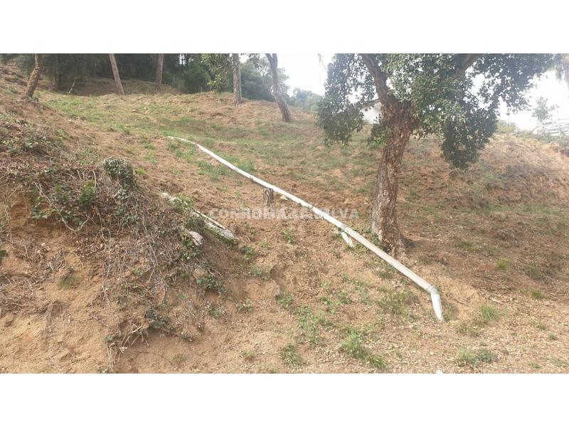 Foto ff341b75-3619-4e91-920e-8526b09af82b. Finca rústica a Sant Cebrià de Vallalta