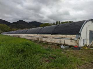 Terreny residencial  Zabalegui - calle santa mara. En venta finca rstica agrcola de alta productividad en torres