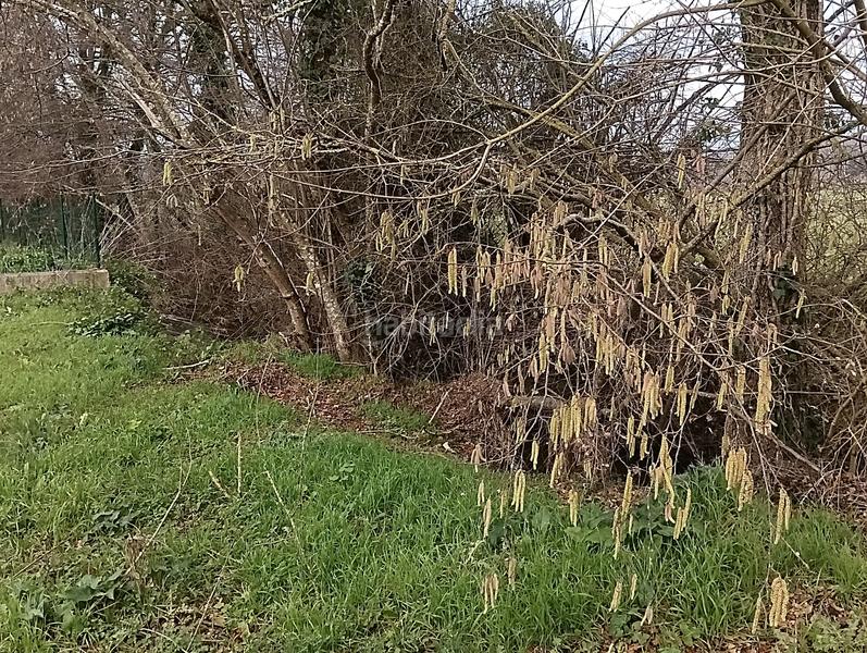 Foto 326c11e0-7270-47cd-8f26-b4356627bbf9. Terreno residencial sueñas con una casa en la ? en Ultzama