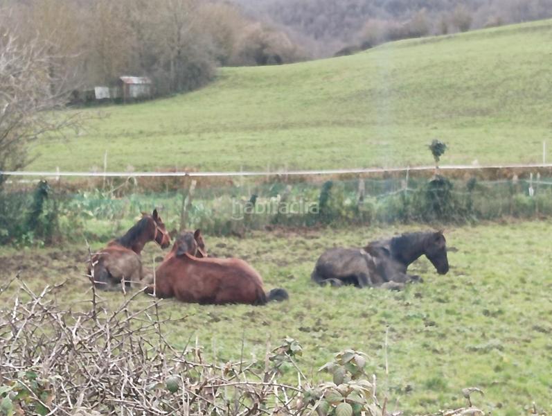 Foto a60fa235-9c23-4a61-8beb-68992ddf5d42. Terreno residencial sueñas con una casa en la ? en Ultzama