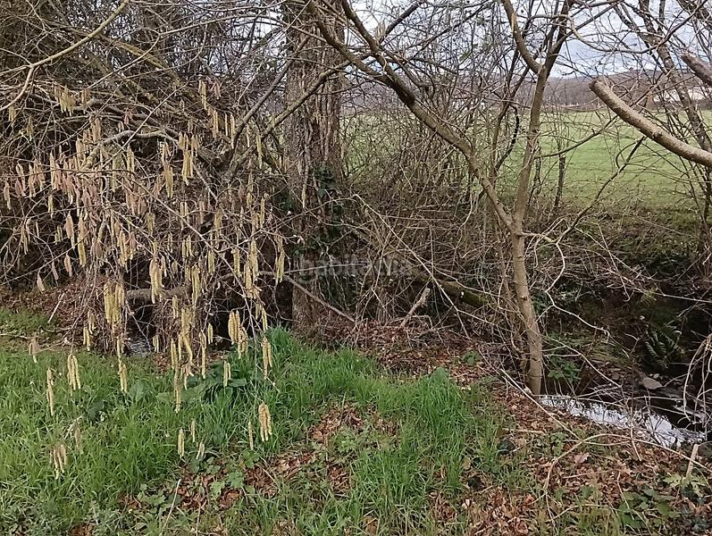 Foto df0b2433-902b-4e89-98fd-ea0c2585bc2d. Terreno residencial sueñas con una casa en la ? en Ultzama