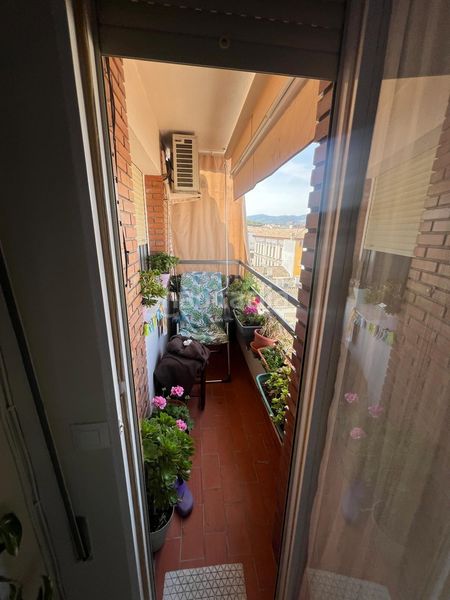 Foto a22c2289-671f-413b-b513-c544e06e1891. Pis a Baena