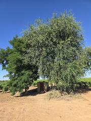 Terreno residenziale in Villacañas