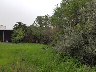 Terreny residencial  Senda cantos, 16415 villamayor de santiago, cuenca, españa