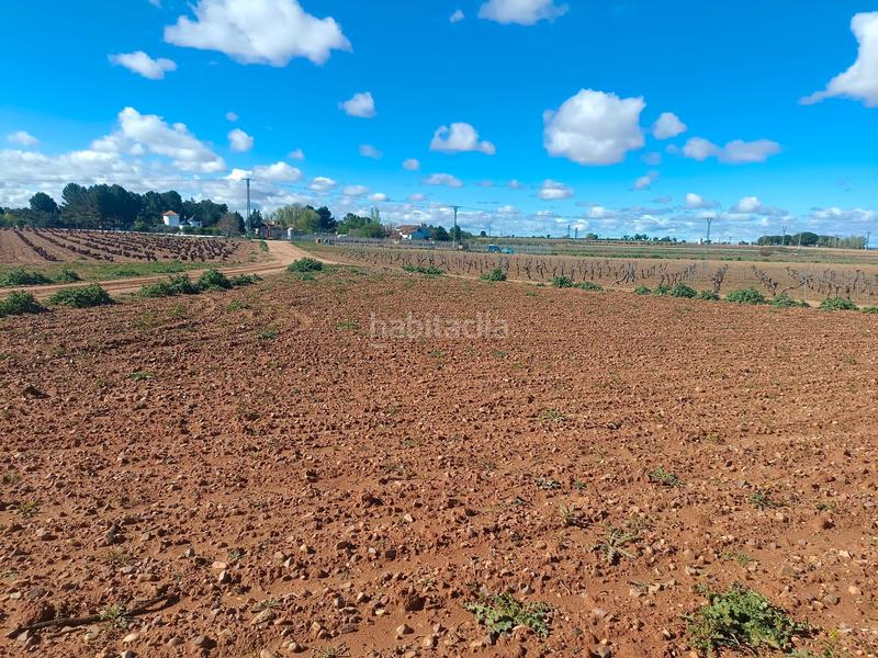 Foto 10b15cd1-b666-4c30-91b9-90f3a2982276. Terreno residencial en Toboso (El)