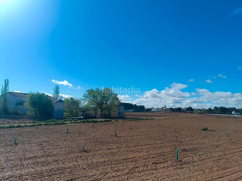 Foto 4bffbe7f-f25a-4bf5-94ae-237d0d936eff. Terreno residencial en Toboso (El)