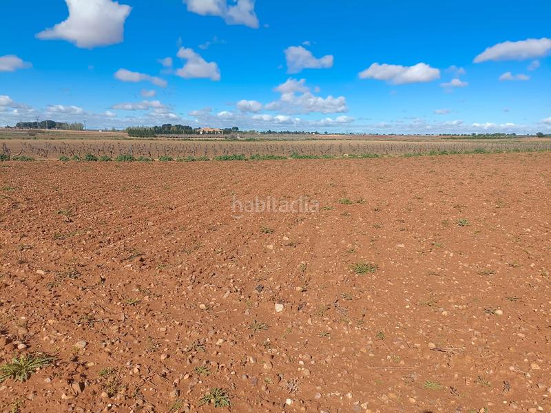 Foto 6b24a167-c6ce-4884-86fa-a9c9ccac2c0b. Terreno residencial en Toboso (El)