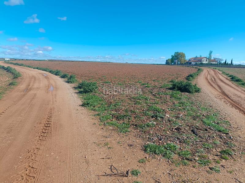 Foto 6beff5d0-5b5a-431e-b13d-10fa3d72fae8. Terreno residencial en Toboso (El)
