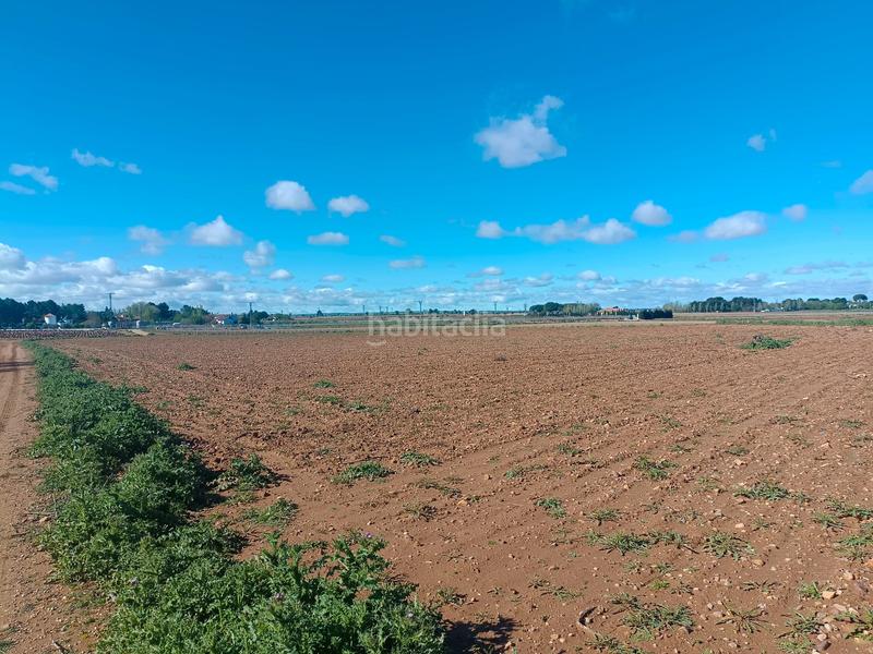 Foto abf3b908-8cf4-41c2-a320-d31e2cf5f538. Terreno residencial en Toboso (El)
