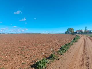 Terreno residenziale in Toboso (El)