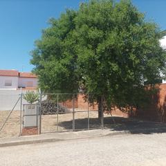 Residential Plot in Villanueva de Alcardete