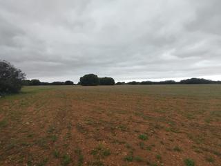 Terreno residenziale in Quintanar de la Orden