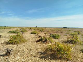 Terreno residenziale in Quintanar de la Orden