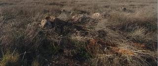 Terreno residenziale in Quintanar de la Orden