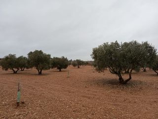 Residential Plot in Quintanar de la Orden