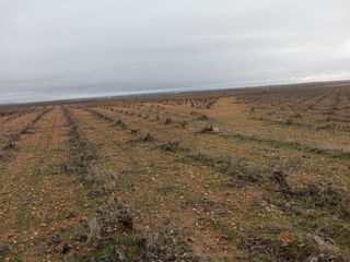 Residential Plot in Quintanar de la Orden