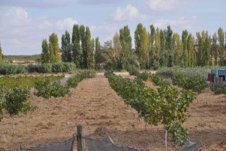 Terreno residenziale in Villanueva de Alcardete