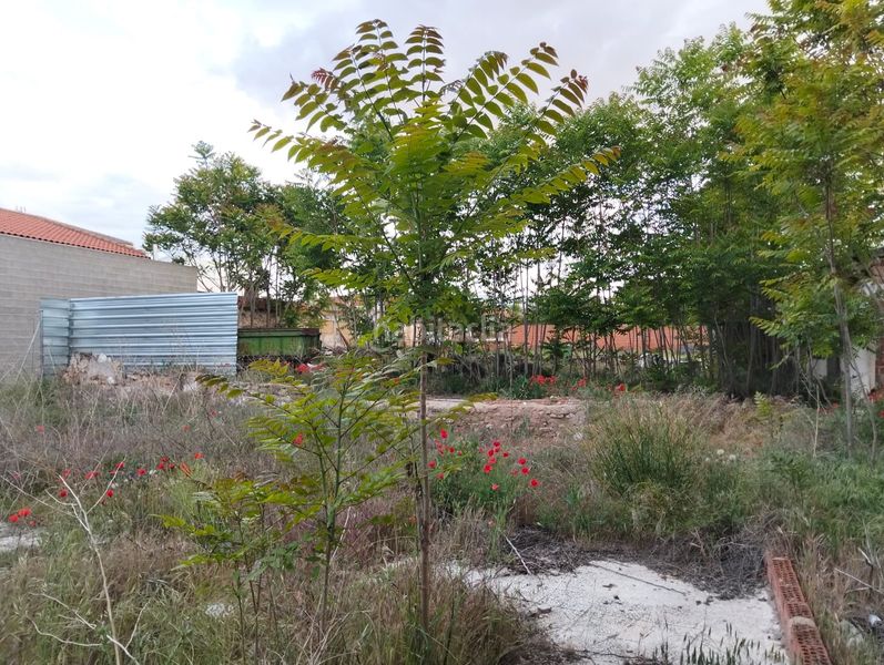 Foto 28c82702-7f2f-418e-ac7b-b09a37f70142. Terreny residencial a Lillo