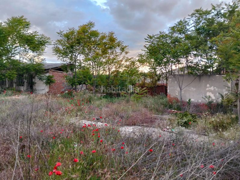 Foto 3fc3abfe-210d-4c74-a034-dceee7db4bb1. Terreny residencial a Lillo