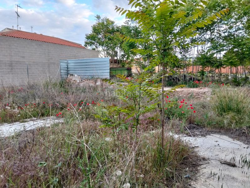 Foto 6c9c0e87-895b-46c2-b06f-8c2b8deaa3ea. Terreny residencial a Lillo