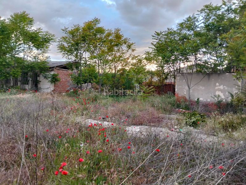 Foto c5e8fc29-e9dc-4003-bbdd-0cdbc9f7781d. Terreny residencial a Lillo