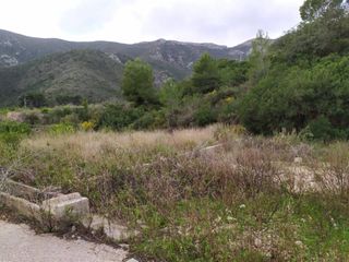 Finca r�stica  Poligono 5. Terreno en venta en favara