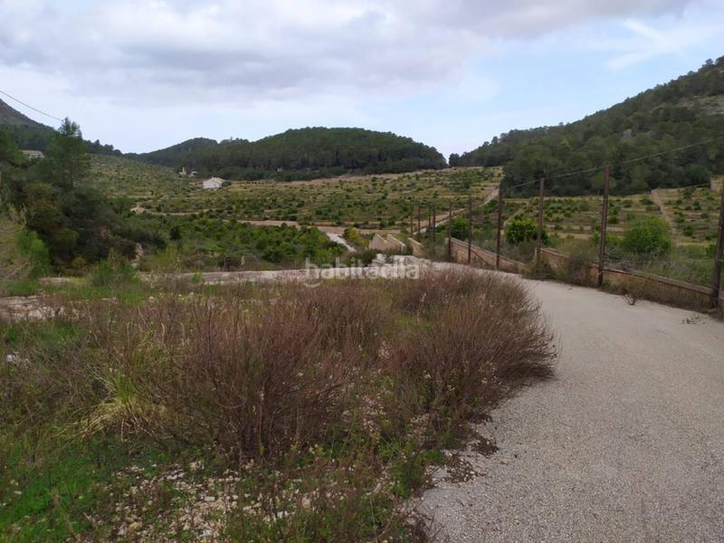 Foto 45ac22de-f2a4-4b3b-aea1-e1d5bc77ce0e. Finca rústica terreno en venta en Favara