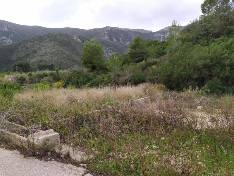 Foto 5adbe5d1-d1ef-45a4-9c00-a65866cc549a. Finca rústica terreno en venta en Favara