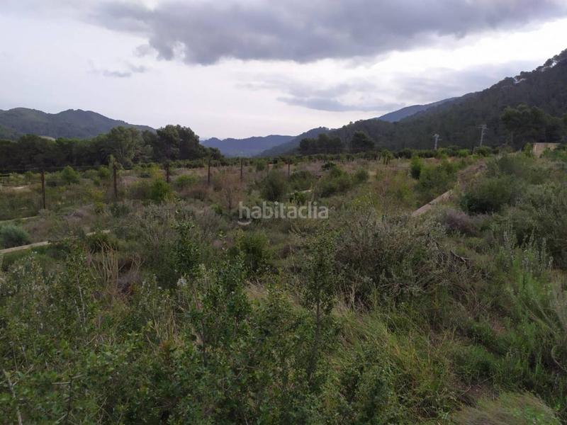 Foto 6c950b73-7858-41c2-b2c4-9491bc062c63. Finca rústica terreno en venta en Favara