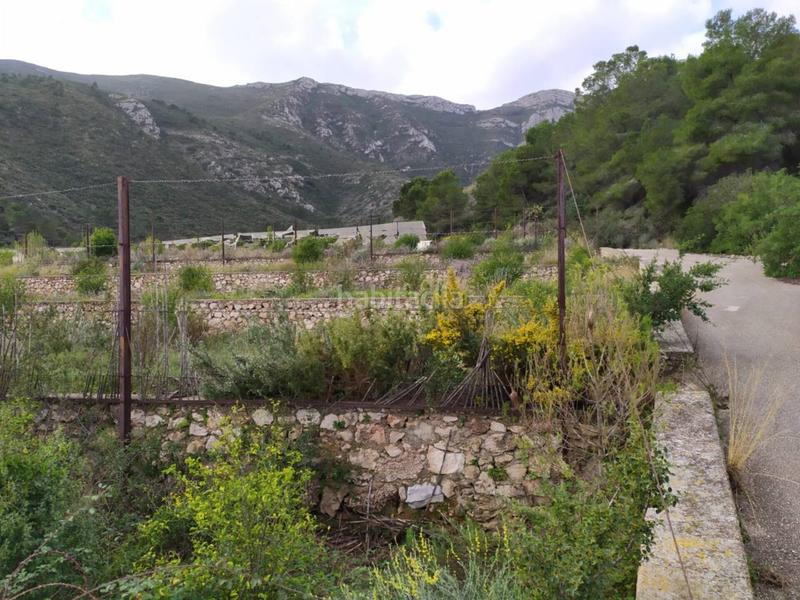 Foto 73240038-6142-49b5-860c-55a54a46f947. Finca rústica terreno en venta en Favara