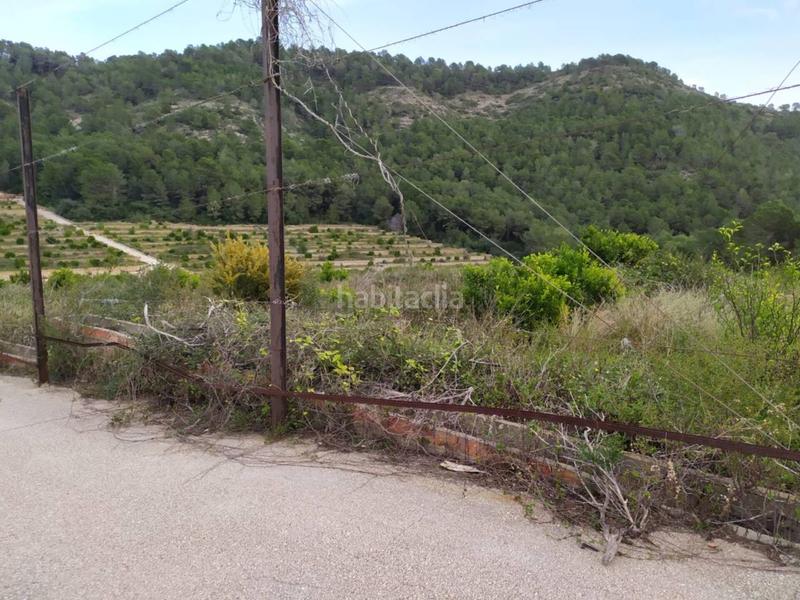 Foto b4a17b8c-084a-4b9f-be35-22089cdf467f. Finca rústica terreno en venta en Favara