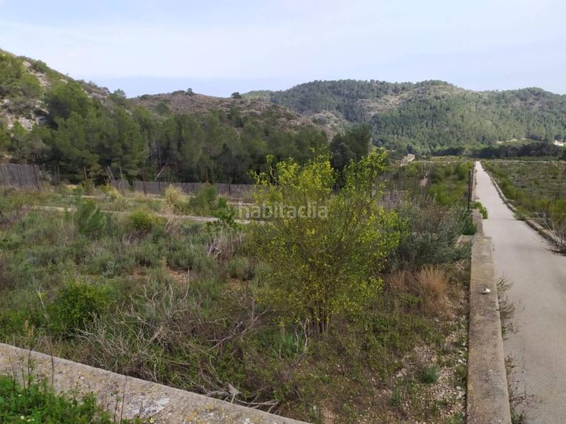 Foto b7ada011-1950-4ae4-94fd-c4cee7e7b502. Finca rústica terreno en venta en Favara