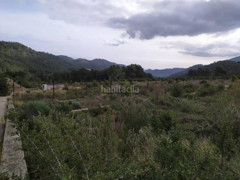 Foto b7eb4c3f-3181-4455-9ec9-2ff740538d9f. Finca rústica terreno en venta en Favara