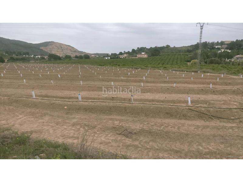 Foto 27571a70-98ce-42a6-b884-194f25b1f732. Finca rústica a Monte Real Torrent