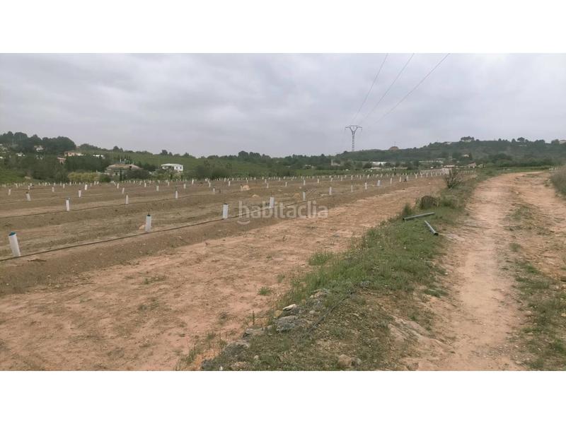 Foto 46e05f5a-6d6d-4ec3-be9f-d3055c9754fb. Finca rústica a Monte Real Torrent