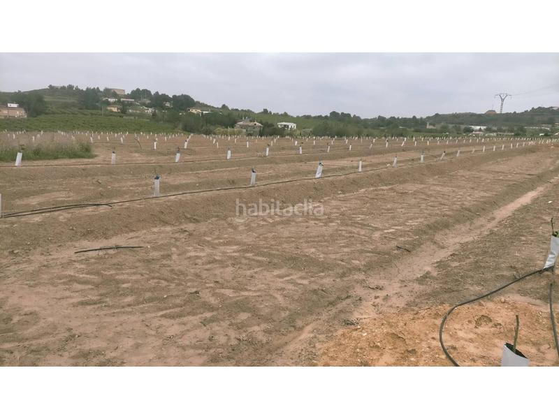 Foto 4dd5794a-1c6d-437d-80de-53e3e226c24f. Finca rústica a Monte Real Torrent